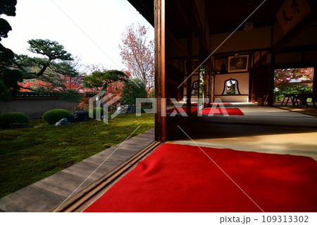 紅葉の日本庭園 紅葉の日本庭園 109313302