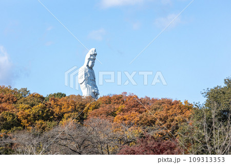 観音山公園から見る白衣大観音　群馬県高崎市 109313353