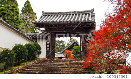 兵庫県 三木市 紅葉の伽耶院 109313361