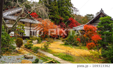 兵庫県 三木市 紅葉の伽耶院 兵庫県 三木市 紅葉の伽耶院 109313362