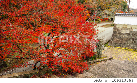 兵庫県 三木市 紅葉の伽耶院 兵庫県 三木市 紅葉の伽耶院 109313363