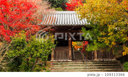 兵庫県 三木市 紅葉の伽耶院 109313366