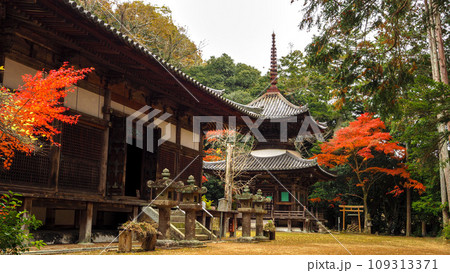 兵庫県 三木市 紅葉の伽耶院 109313371