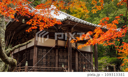 兵庫県 三木市 紅葉の伽耶院 109313381