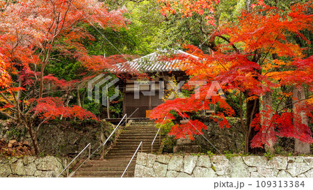 兵庫県 三木市 紅葉の伽耶院 兵庫県 三木市 紅葉の伽耶院 109313384