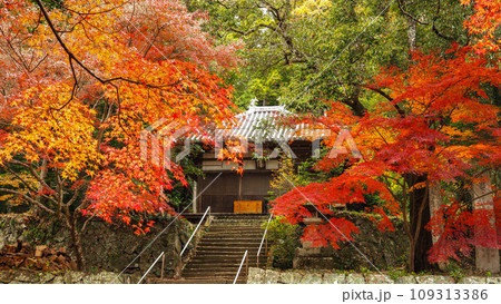 兵庫県 三木市 紅葉の伽耶院 109313386