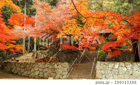 兵庫県 三木市 紅葉の伽耶院 兵庫県 三木市 紅葉の伽耶院 109313388