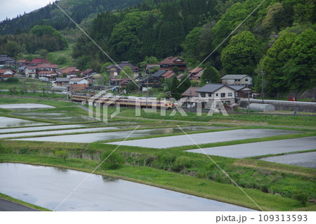 特急やくも号381系（国鉄色） 伯備線 上石見付近 水田 109313593