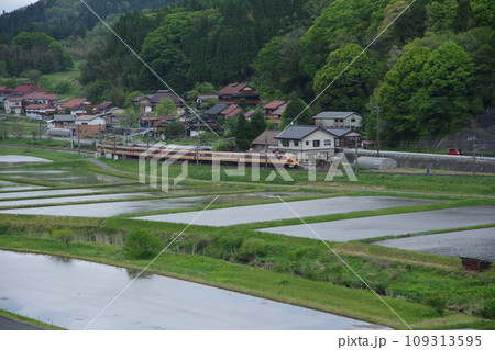 特急やくも号381系(国鉄色) 伯備線 上石見付近 水田 特急やくも号381系(国鉄色) 伯備線 上石見付近 水田 109313595