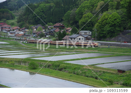 特急やくも号381系(国鉄色) 伯備線 上石見付近 水田 特急やくも号381系(国鉄色) 伯備線 上石見付近 水田 109313599