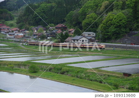 特急やくも号381系（国鉄色） 伯備線 上石見付近 水田 109313600