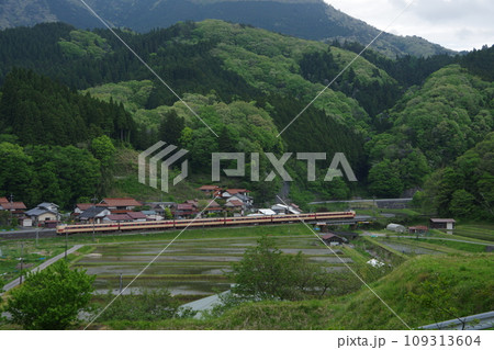 特急やくも号381系(国鉄色) 伯備線 上石見付近 水田 特急やくも号381系(国鉄色) 伯備線 上石見付近 水田 109313604