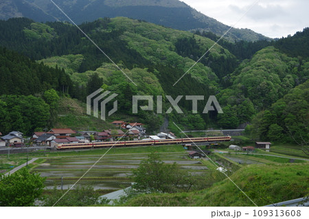 特急やくも号381系（国鉄色） 伯備線 上石見付近 水田 109313608