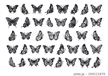 Vector monarch butterfly silhouette set cutout insect wing wing animal summer spring nature fly collection. 109313870