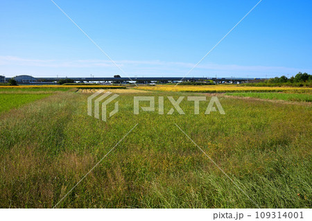 平成の森公園場　南門前の風景　圏央道方面　川島町　 109314001