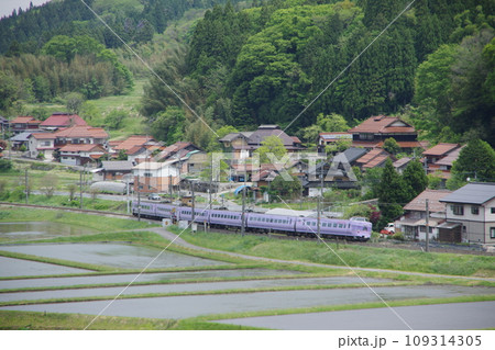 特急やくも号381系（スーパーやくも色） 伯備線 上石見付近 水田 109314305