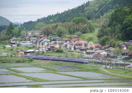 特急やくも号381系（スーパーやくも色） 伯備線 上石見付近 水田 109314309