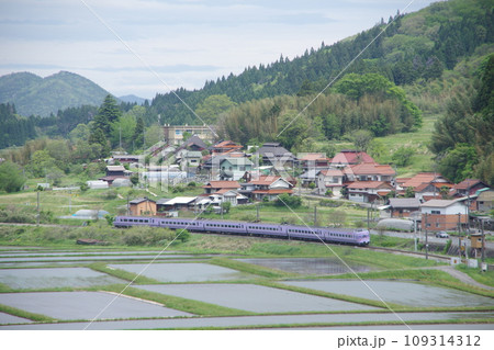 特急やくも号381系（スーパーやくも色） 伯備線 上石見付近 水田 109314312
