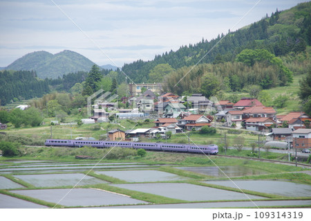 特急やくも号381系(スーパーやくも色) 伯備線 上石見付近 水田 特急やくも号381系(スーパーやくも色) 伯備線 上石見付近 水田 109314319
