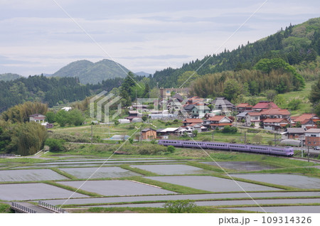 特急やくも号381系(スーパーやくも色) 伯備線 上石見付近 水田 特急やくも号381系(スーパーやくも色) 伯備線 上石見付近 水田 109314326