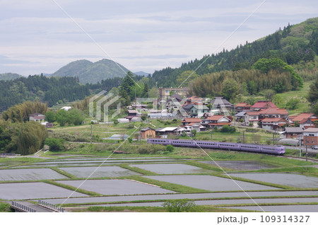 特急やくも号381系(スーパーやくも色) 伯備線 上石見付近 水田 特急やくも号381系(スーパーやくも色) 伯備線 上石見付近 水田 109314327