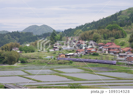 特急やくも号381系（スーパーやくも色） 伯備線 上石見付近 水田 109314328