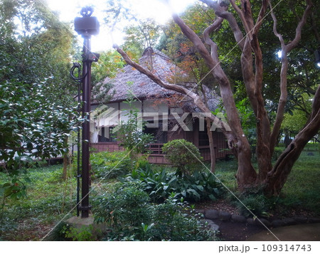 芦花公園 109314743