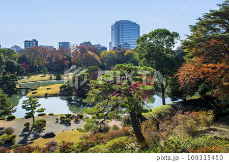 東京都　六義園　（りくぎえん）　秋の藤代峠からの展望　特別名勝 109315450
