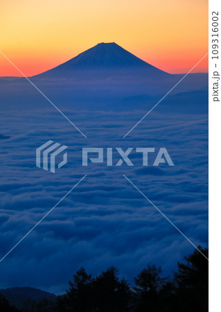 雲海の高ポッチ高原からの富士山眺望 109316002