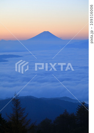 雲海の高ポッチ高原からの富士山眺望 雲海の高ポッチ高原からの富士山眺望 109316006
