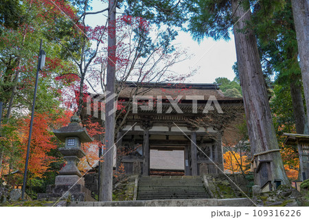 湖東三山 西明寺 秋 湖東三山 西明寺 秋 109316226