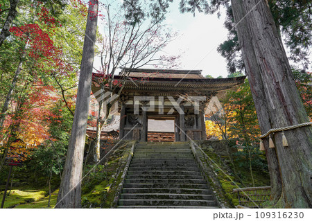 湖東三山 西明寺 秋 湖東三山 西明寺 秋 109316230