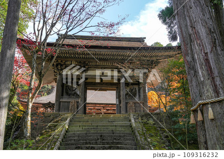湖東三山　西明寺　秋 109316232