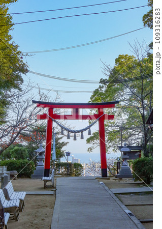 神戸市須磨区の須磨八幡神社の鳥居越しに見える神戸市街 神戸市須磨区の須磨八幡神社の鳥居越しに見える神戸市街 109316283
