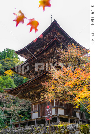 湖東三山　西明寺　秋 109316410