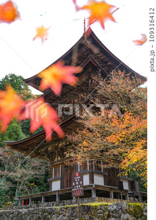 湖東三山　西明寺　秋 109316412