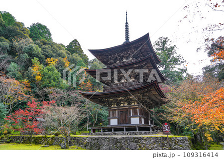 湖東三山　西明寺　秋 109316414