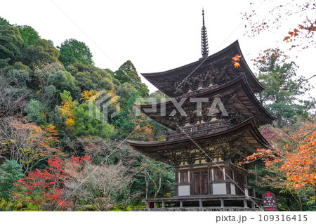 湖東三山　西明寺　秋 109316415