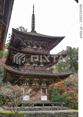 湖東三山　西明寺　秋 109316496