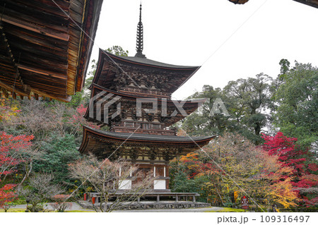 湖東三山　西明寺　秋 109316497