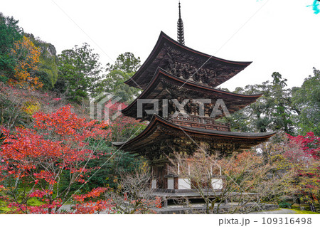 湖東三山 西明寺 秋 湖東三山 西明寺 秋 109316498