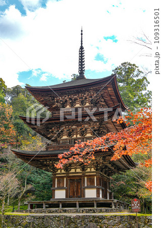 湖東三山　西明寺　秋 109316501