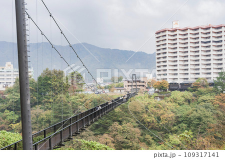 栃木　鬼怒楯岩大吊橋 109317141