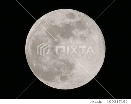 満月 満月 109317193