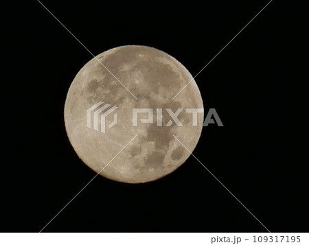 満月 109317195