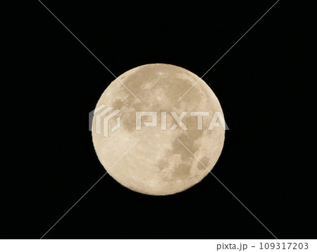 満月 満月 109317203