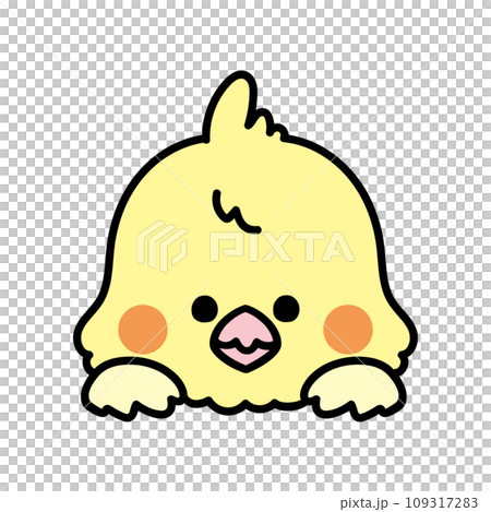 A cute bird that suddenly shows its face A cute bird that suddenly shows its face 109317283