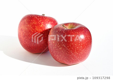 小雪が舞っているような果点のあるりんご、千雪 109317298