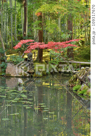 天授庵の紅葉 天授庵の紅葉 109317670