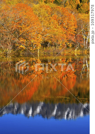 戸隠山と小鳥ヶ池 109317978